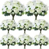 White  Green