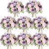 Gray Purple  Light Purple