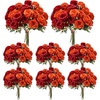 Orange  Deep Red