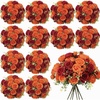 Orange  Dark Red