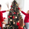 image:imageGeosar 14 Pcs Long Artificial Glitter Berry Stem Ornaments 28 Inch Fake Christmas Picks Christmas Tree Decoration Stems Xmas Decorative Bead Sticks Glittery Twig Branches for DIY Wreath Decor GoldRose Gold