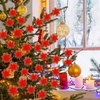 image:imageGeosar 24 Pieces Happy New Year Glitter Poinsettia Flowers Layered Artificial Flowers Wedding New Year Tree Ornaments 346 InchRose GoldRed