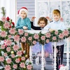 image:imageGeosar 24 Pieces Happy New Year Glitter Poinsettia Flowers Layered Artificial Flowers Wedding New Year Tree Ornaments 346 InchRose GoldRose Gold