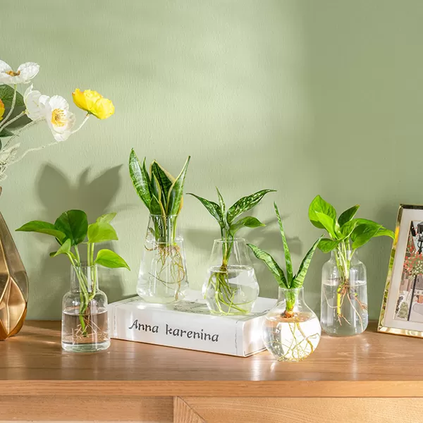 Glass Planter
