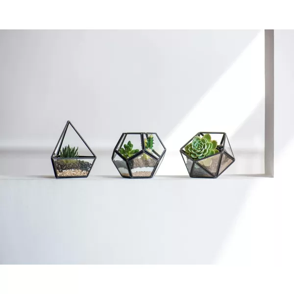 Mkono 4 Inches Mini Glass Geometric Terrarium Container Set of 3 Modern Tabletop Planter Shelves Decor Display Centerpiece for Succulent Miniature Fairy Garden Air Plant Gold Plant Not IncludedBlack