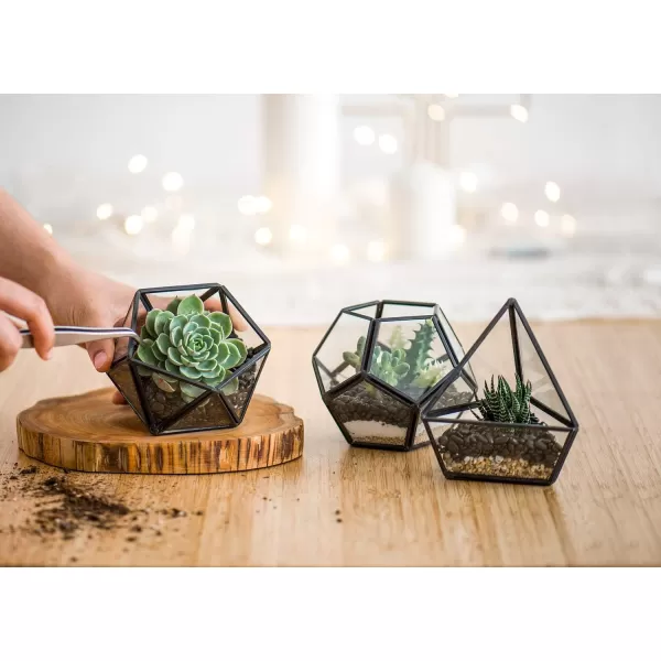 Mkono 4 Inches Mini Glass Geometric Terrarium Container Set of 3 Modern Tabletop Planter Shelves Decor Display Centerpiece for Succulent Miniature Fairy Garden Air Plant Gold Plant Not IncludedBlack