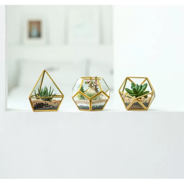 Mkono Artificial Succulent in 3 Pack Mini Glass Geometric Terrarium Miniature Potted Faux Plant Bookshelf Desk Boho Office Room Decor for Women Girls Dorm Gift Idea GoldGold green clear