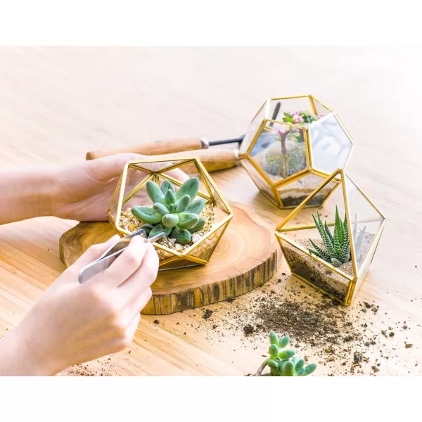Mkono Artificial Succulent in 3 Pack Mini Glass Geometric Terrarium Miniature Potted Faux Plant Bookshelf Desk Boho Office Room Decor for Women Girls Dorm Gift Idea GoldGold green clear