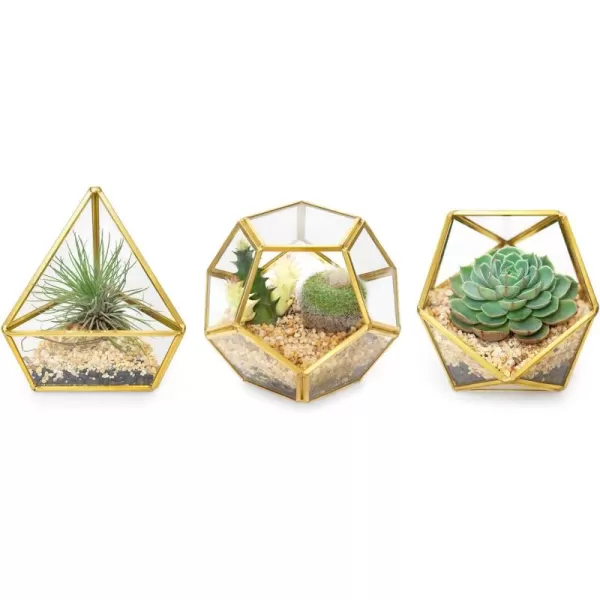 Mkono 4 Inches Mini Glass Geometric Terrarium Container Set of 3 Modern Tabletop Planter Shelves Decor Display Centerpiece for Succulent Miniature Fairy Garden Air Plant Gold Plant Not IncludedGold