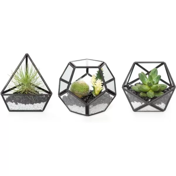 Mkono 4 Inches Mini Glass Geometric Terrarium Container Set of 3 Modern Tabletop Planter Shelves Decor Display Centerpiece for Succulent Miniature Fairy Garden Air Plant Gold Plant Not IncludedBlack