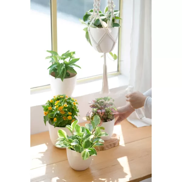 Mkono 3 Pack Macrame Plant Hangers with Pots 35quot29quot23quot Indoor Different Size Hanging Planter Basket Flower Pot Holder with Saucers ampamp Hooks No Tassels Plastic Pots Included Medium IvoryIvory