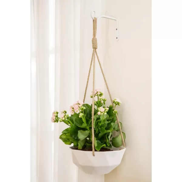 Mkono Hanging Plant Bracket 6 inch Metal Wall Plant Hook Decorative Plant Hanger for Bird Feeders Planters Lanterns Wind Chimes Home Decor Indoor Outdoor 4 Pack BlackWhite