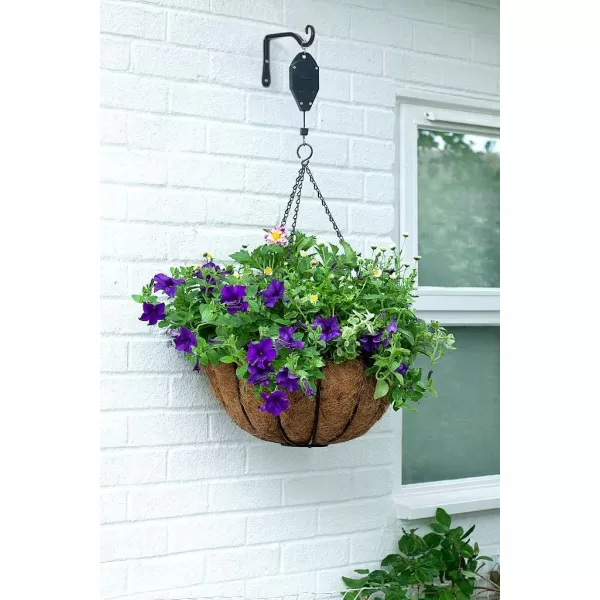 Mkono Hanging Plant Bracket 6 inch Metal Wall Plant Hook Decorative Plant Hanger for Bird Feeders Planters Lanterns Wind Chimes Home Decor Indoor Outdoor 4 Pack BlackBlack