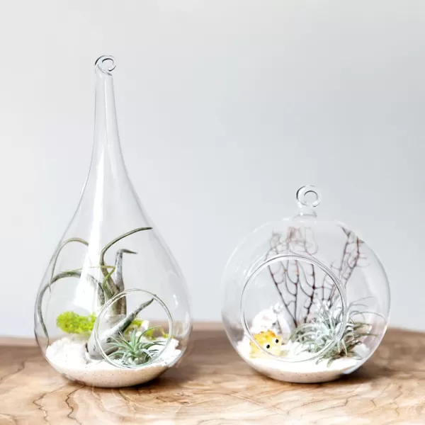 Mkono 2 Pack Glass Hanging Planter Air Fern Holder Terrarium Plants Hanger Vase Home Christmas Decoration Gift Idea for Succulent Moss Tillandsias Air Plants Globe and Teardrop