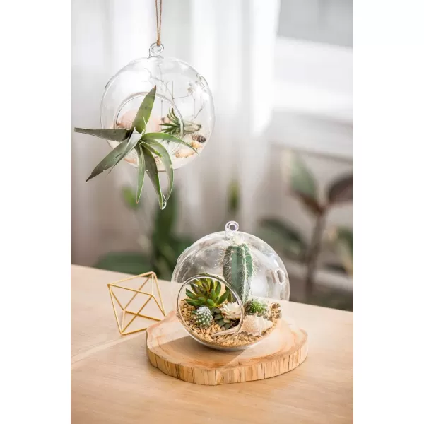 Mkono 2 Pack Glass Hanging Planter Air Fern Holder Terrarium Plants Hanger Vase Home Christmas Decoration Gift Idea for Succulent Moss Tillandsias Air Plants Globe and Teardrop