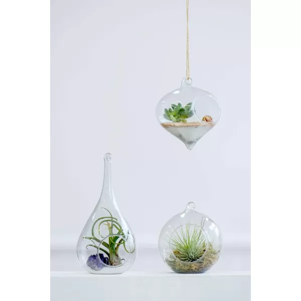 Mkono 3 Pack Glass Hanging Planter Air Fern Holder Terrarium Plants Hanger Vase Home Christmas Decoration Gifts for Plant Lovers Succulent Moss Tillandsias Air Plants Globe Plant Not Included