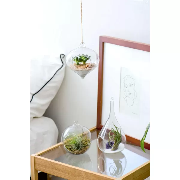 Mkono 3 Pack Glass Hanging Planter Air Fern Holder Terrarium Plants Hanger Vase Home Christmas Decoration Gifts for Plant Lovers Succulent Moss Tillandsias Air Plants Globe Plant Not Included