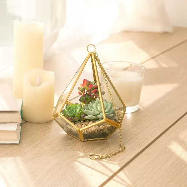 Mkono 3 Pcs Small Hanging Glass Terrarium Geometric Container Vertical Modern Planter Windowsill Decor Gift for Succulent Fern Moss Air Plants Miniature GardenGold