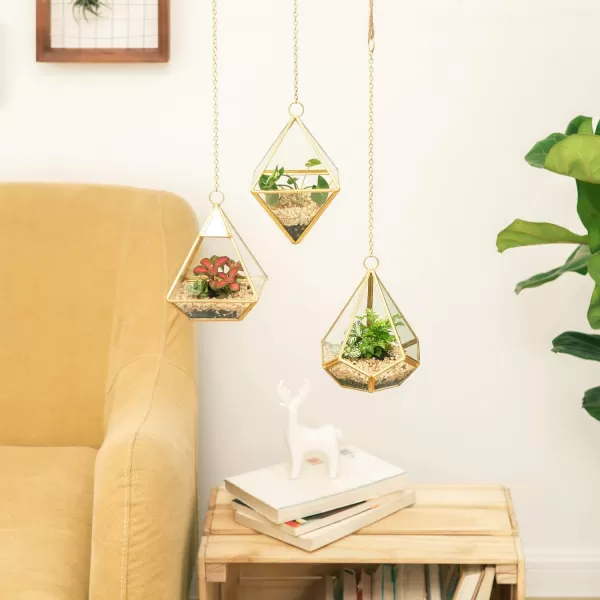 Mkono 3 Pcs Small Hanging Glass Terrarium Geometric Container Vertical Modern Planter Windowsill Decor Gift for Succulent Fern Moss Air Plants Miniature GardenGold