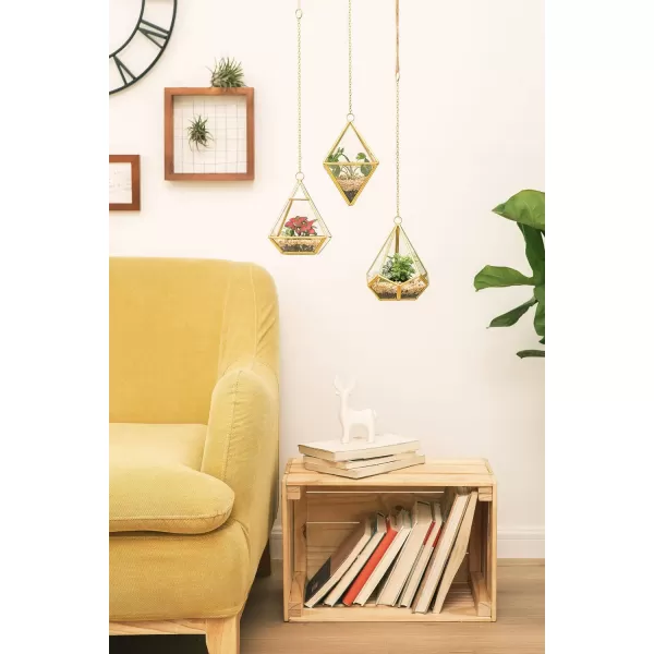 Mkono 3 Pcs Small Hanging Glass Terrarium Geometric Container Vertical Modern Planter Windowsill Decor Gift for Succulent Fern Moss Air Plants Miniature GardenGold