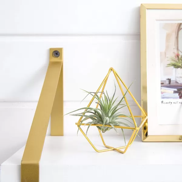 Mkono 5 Pack Air Plant Holder Metal Himmeli Decor in 2 Shapes Gold