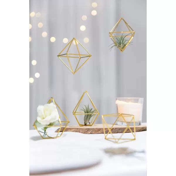 Mkono 5 Pack Air Plant Holder Metal Himmeli Decor in 2 Shapes Gold