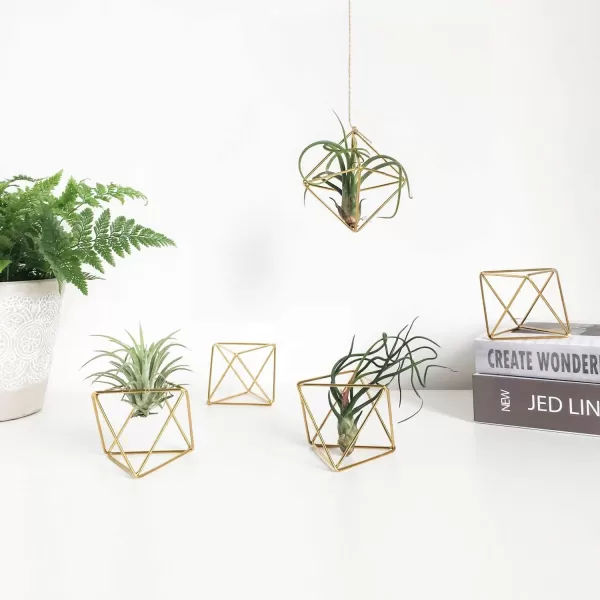 Mkono 5 Packs Air Plant Holder Same Shape Metal Tabletop Himmeli Decor Geometric Planter Tillandsia Air Fern Display Stand with Each Side 26 Long for Christma Decor Gifts for Plant Lovers GoldGold