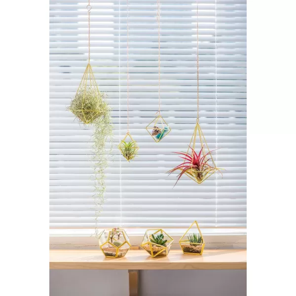 Mkono 5 Packs Air Plant Holder Same Shape Metal Tabletop Himmeli Decor Geometric Planter Tillandsia Air Fern Display Stand with Each Side 26 Long for Christma Decor Gifts for Plant Lovers GoldGold