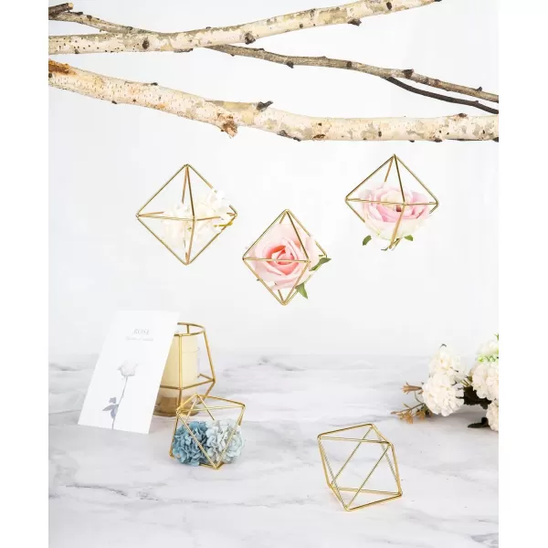 Mkono 5 Packs Air Plant Holder Same Shape Metal Tabletop Himmeli Decor Geometric Planter Tillandsia Air Fern Display Stand with Each Side 26 Long for Christma Decor Gifts for Plant Lovers GoldGold