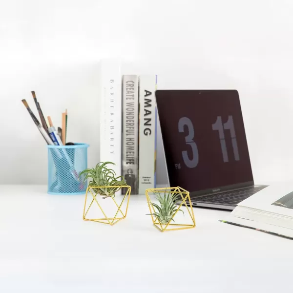 Mkono 5 Packs Air Plant Holder Same Shape Metal Tabletop Himmeli Decor Geometric Planter Tillandsia Air Fern Display Stand with Each Side 26 Long for Christma Decor Gifts for Plant Lovers GoldGold
