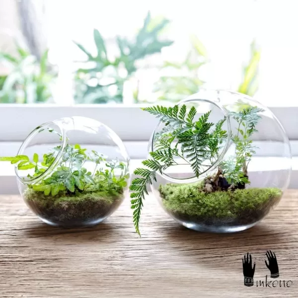 Mkono Plant Terrarium Display Glass Tabletop Succulent Air Plant Planter Globe Microlandschaft House M