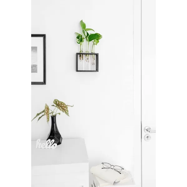 Mkono Wall Hanging Glass Planter Plant Terrarium Modern Flower Bud Vase in Wood Stand Rack Tabletop Terrarium for Propagating Hydroponic Plants Home Office Decoration with 5 Test Tube Medium BrownBlack