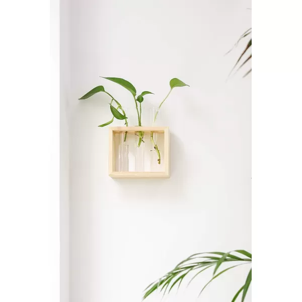 Mkono Wall Hanging Glass Planter Plant Terrarium Modern Flower Bud Vase in Wood Stand Rack Tabletop Terrarium for Propagating Hydroponic Plants Home Office Decoration with 5 Test Tube Medium BrownBeige