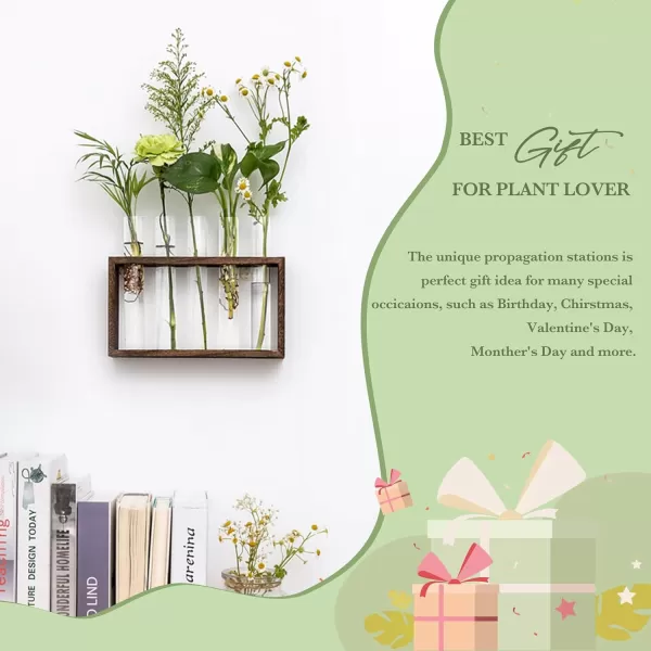 Mkono Wall Hanging Glass Planter Plant Terrarium Modern Flower Bud Vase in Wood Stand Rack Tabletop Terrarium for Propagating Hydroponic Plants Home Office Decoration with 5 Test Tube Medium BrownBrown