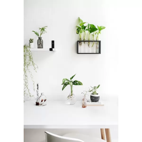 Mkono Wall Hanging Glass Planter Plant Terrarium Modern Flower Bud Vase in Wood Stand Rack Tabletop Terrarium for Propagating Hydroponic Plants Home Office Decoration with 5 Test Tube Medium BrownBlack