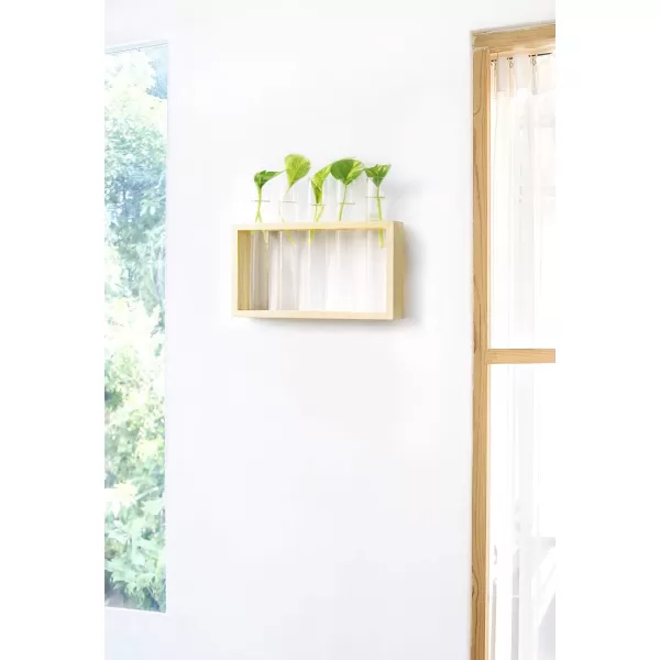 Mkono Wall Hanging Glass Planter Plant Terrarium Modern Flower Bud Vase in Wood Stand Rack Tabletop Terrarium for Propagating Hydroponic Plants Home Office Decoration with 5 Test Tube Medium BrownBeige
