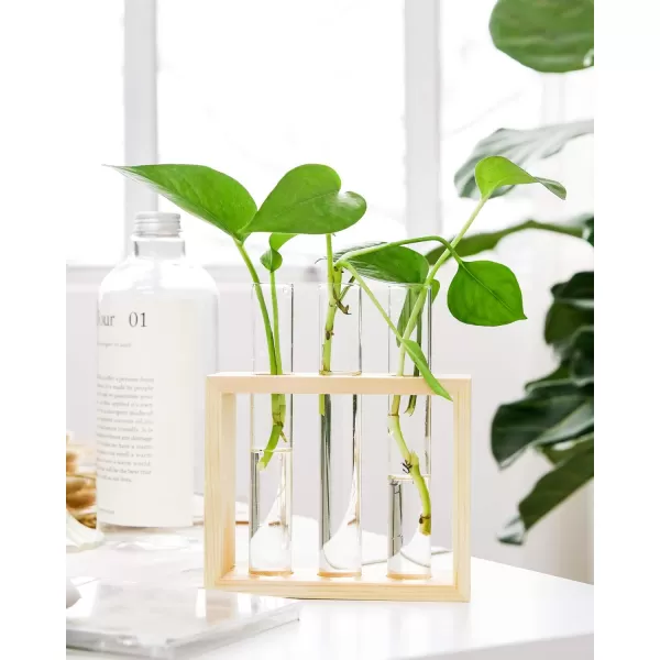 Mkono Wall Hanging Glass Planter Plant Terrarium Modern Flower Bud Vase in Wood Stand Rack Tabletop Terrarium for Propagating Hydroponic Plants Home Office Decoration with 5 Test Tube Medium BrownBeige