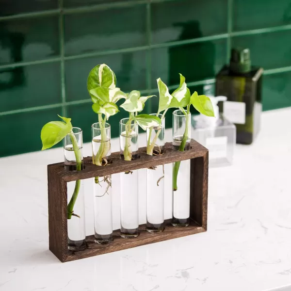 Mkono Wall Hanging Glass Planter Plant Terrarium Modern Flower Bud Vase in Wood Stand Rack Tabletop Terrarium for Propagating Hydroponic Plants Home Office Decoration with 5 Test Tube Medium BrownBrown