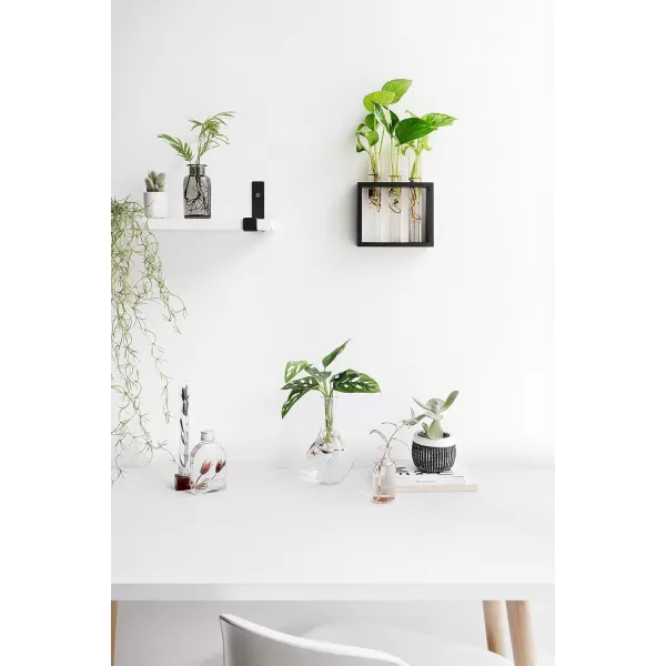 Mkono Wall Hanging Glass Planter Plant Terrarium Modern Flower Bud Vase in Wood Stand Rack Tabletop Terrarium for Propagating Hydroponic Plants Home Office Decoration with 5 Test Tube Medium BrownBlack