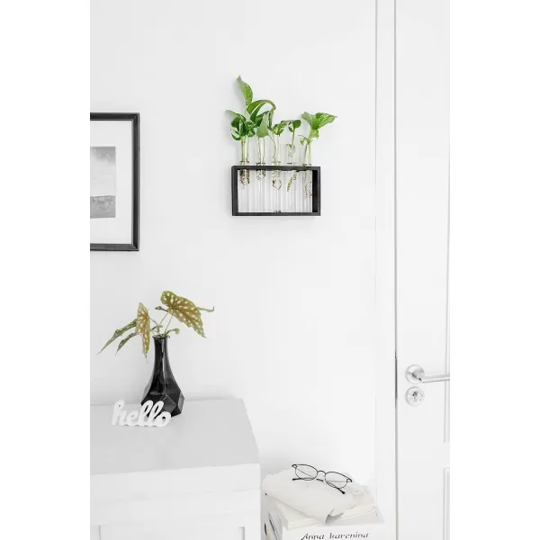 Mkono Wall Hanging Glass Planter Plant Terrarium Modern Flower Bud Vase in Wood Stand Rack Tabletop Terrarium for Propagating Hydroponic Plants Home Office Decoration with 5 Test Tube Medium BrownBlack