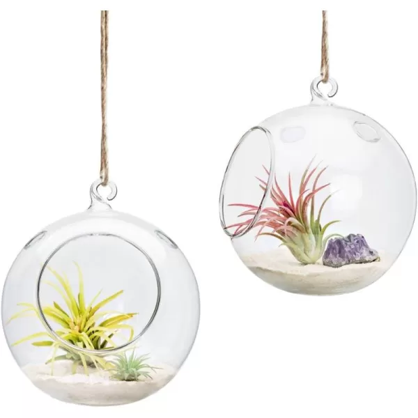 Mkono 2 Packs 6Inch Hanging Glass Planter Round Air Plant Terrarium Globe for Succulent Tillandsia Air Plants Gifts for Plant Lovers Thanksgiving Christmas Home Decoration Plant Not Included
