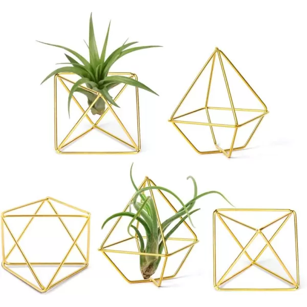 Mkono 5 Pack Air Plant Holder Metal Himmeli Decor in 2 Shapes Gold