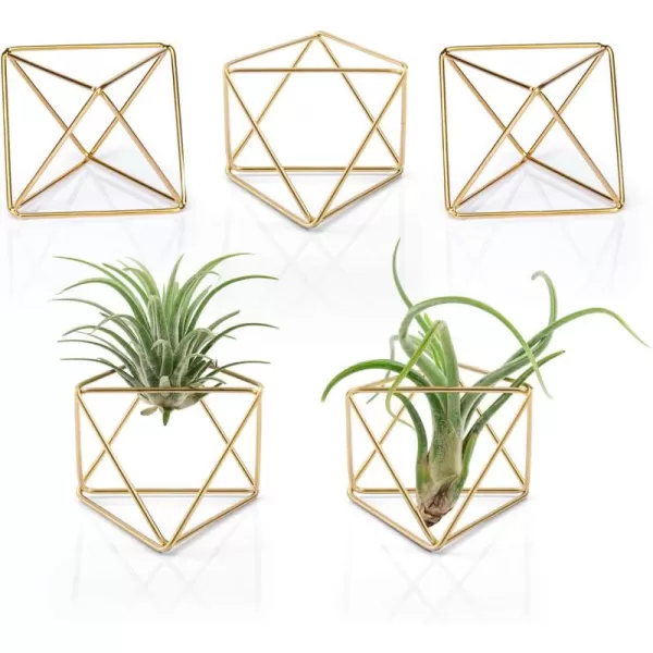Mkono 5 Packs Air Plant Holder Same Shape Metal Tabletop Himmeli Decor Geometric Planter Tillandsia Air Fern Display Stand with Each Side 26 Long for Christma Decor Gifts for Plant Lovers GoldGold