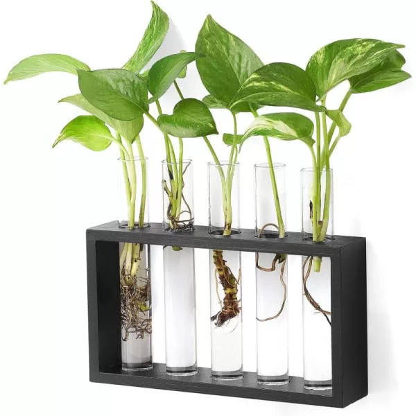 Mkono Wall Hanging Glass Planter Plant Terrarium Modern Flower Bud Vase in Wood Stand Rack Tabletop Terrarium for Propagating Hydroponic Plants Home Office Decoration with 5 Test Tube Medium BrownBlack