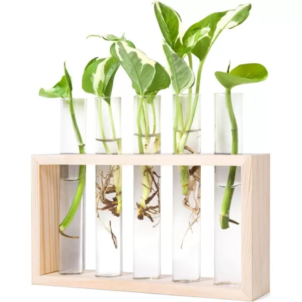Mkono Wall Hanging Glass Planter Plant Terrarium Modern Flower Bud Vase in Wood Stand Rack Tabletop Terrarium for Propagating Hydroponic Plants Home Office Decoration with 5 Test Tube Medium BrownBeige