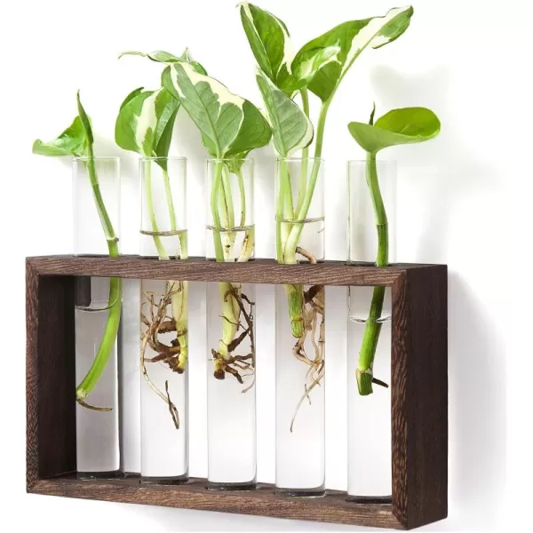 Mkono Wall Hanging Glass Planter Plant Terrarium Modern Flower Bud Vase in Wood Stand Rack Tabletop Terrarium for Propagating Hydroponic Plants Home Office Decoration with 5 Test Tube Medium BrownBrown