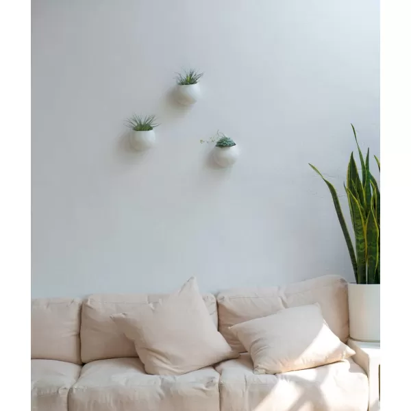 Mkono 4 Inch Wall Mounted Planter Round Ceramic Hanging Plant Holder Decorative Flower Display Vase Succulent Pots for Indoor Plants Set of 3 White Plants NOT Included