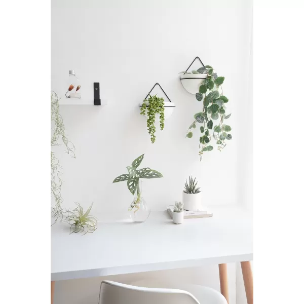 Mkono Ceramic Hanging Planter Set of 2 Gold Modern Wall Decor Suitable for Indoor and Outdoor UseBlack