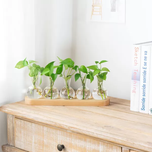 Mkono Desktop Plant Propagation Station Glass Planter Terrarium with Wooden Tray Bulb Flower Vase Perfect for Propagating Hydroponic Plants Home Office Decor Plant Lover Gift IdeaBeige