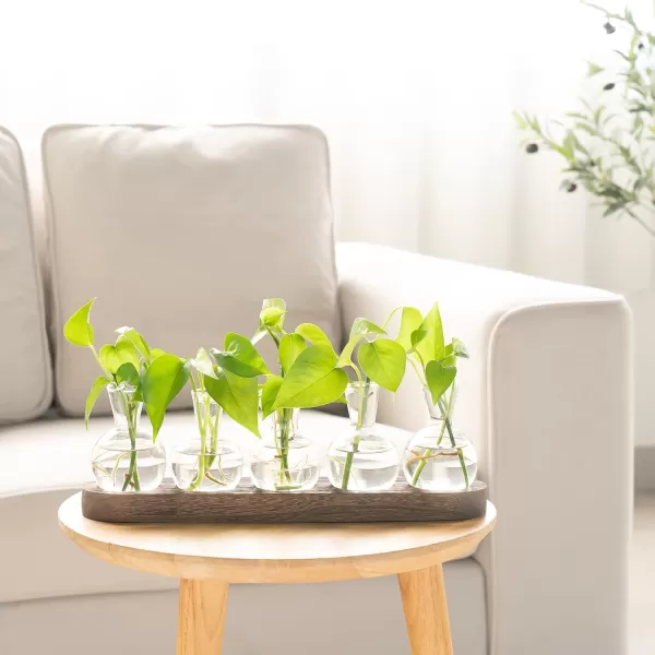 Mkono Desktop Plant Propagation Station Glass Planter Terrarium with Wooden Tray Bulb Flower Vase Perfect for Propagating Hydroponic Plants Home Office Decor Plant Lover Gift IdeaBrown